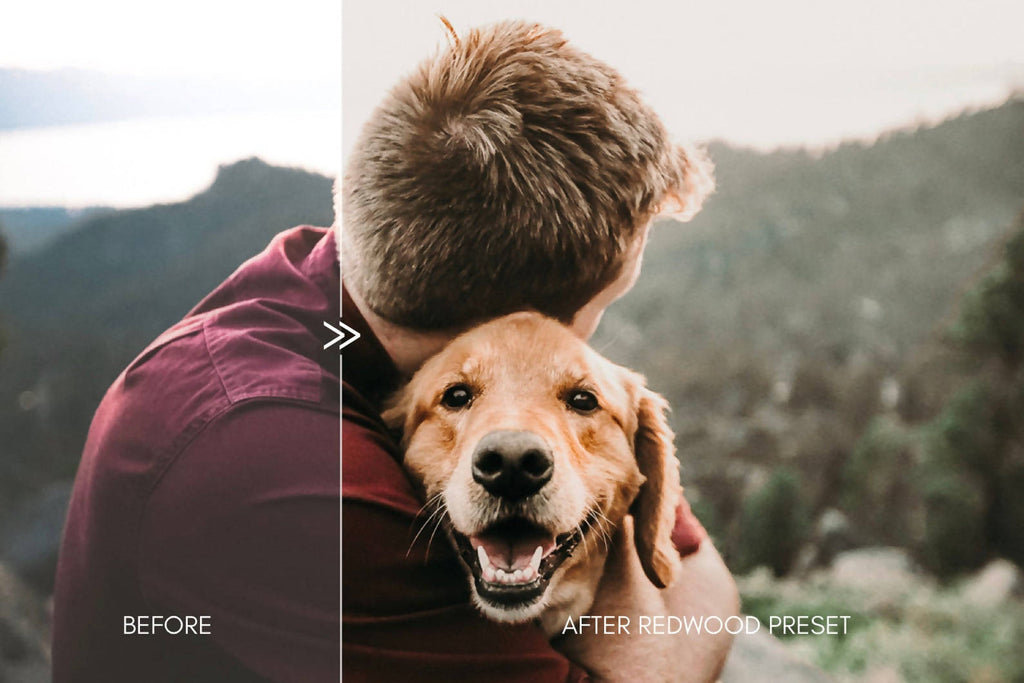 Moody Pet Photography Kit THE GREAT OUTDOORS Lightroom Presets Pack for Desktop and Mobile - One Click Editing Tools
