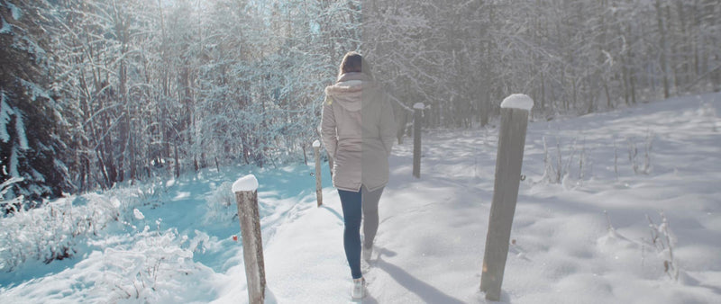 Winter Lifestyle LUT Pack LUTS Bounce Color 