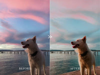 Moody Vibrant ADVENTURE AWAITS Lightroom Presets Pack for Desktop & Mobile