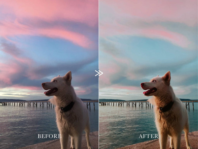 Moody Vibrant ADVENTURE AWAITS Lightroom Presets Pack for Desktop & Mobile
