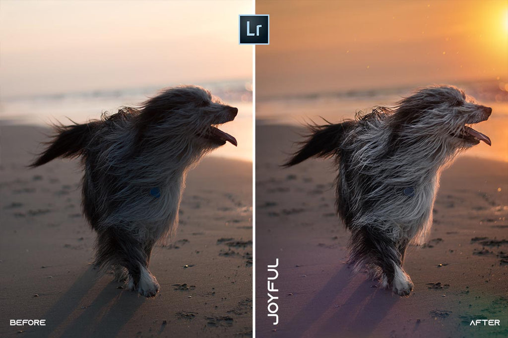 MOBILE + DESKTOP Lightroom Presets Bundle / by @guillepixl - VOL. 3 Lightroom Presets @guillepixl 