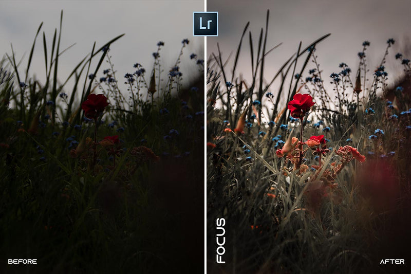 MOBILE + DESKTOP Lightroom Presets Bundle / by @guillepixl - VOL. 3 Lightroom Presets @guillepixl 