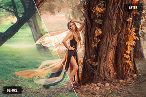 20 Autumn LUTs Pack