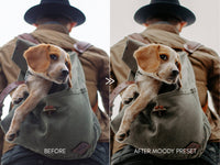 Moody Pet Photography Kit THE GREAT OUTDOORS Lightroom Presets Pack for Desktop and Mobile - One Click Editing Tools