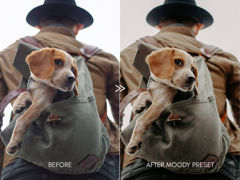 Moody Pet Photography Kit THE GREAT OUTDOORS Lightroom Presets Pack for Desktop and Mobile - One Click Editing Tools