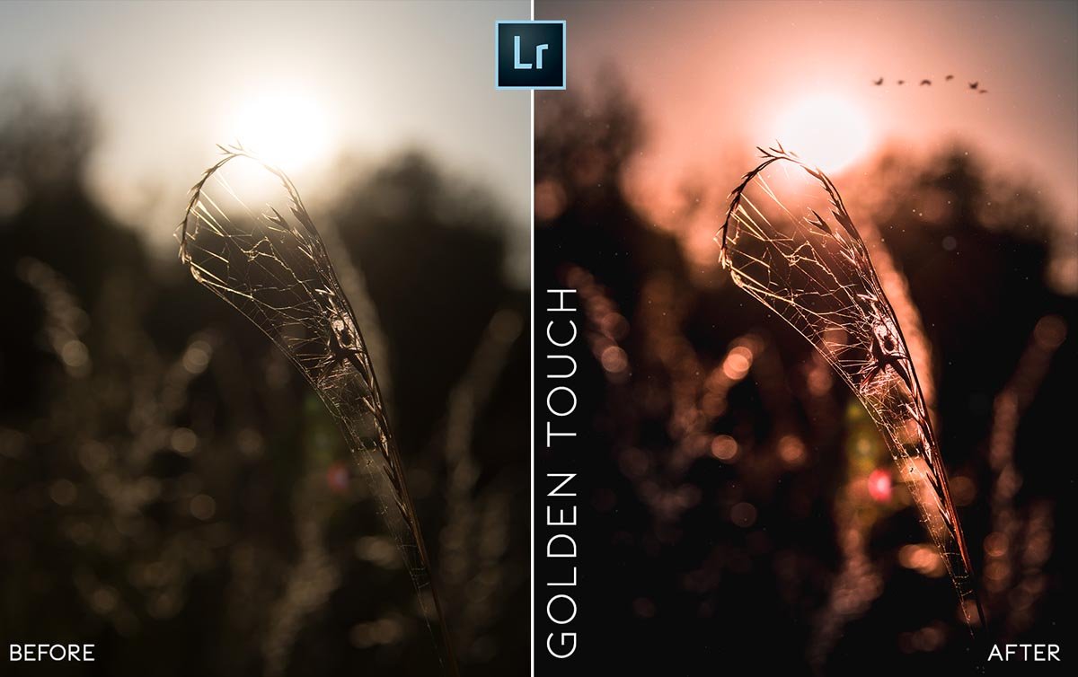 MOBILE + DESKTOP Lightroom Presets Bundle / by @guillepixl - VOL. 1 Lightroom Presets @guillepixl 