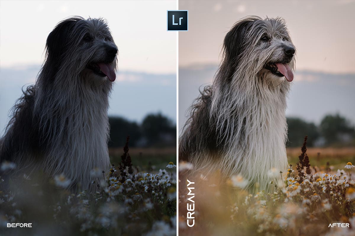 MOBILE + DESKTOP Lightroom Presets Bundle / by @guillepixl - VOL. 2 Lightroom Presets @guillepixl 