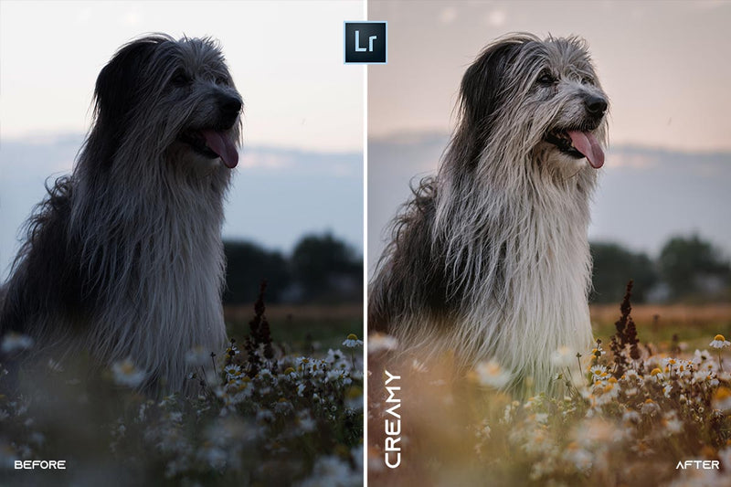 MOBILE + DESKTOP Lightroom Presets Bundle / by @guillepixl - VOL. 2 Lightroom Presets @guillepixl 