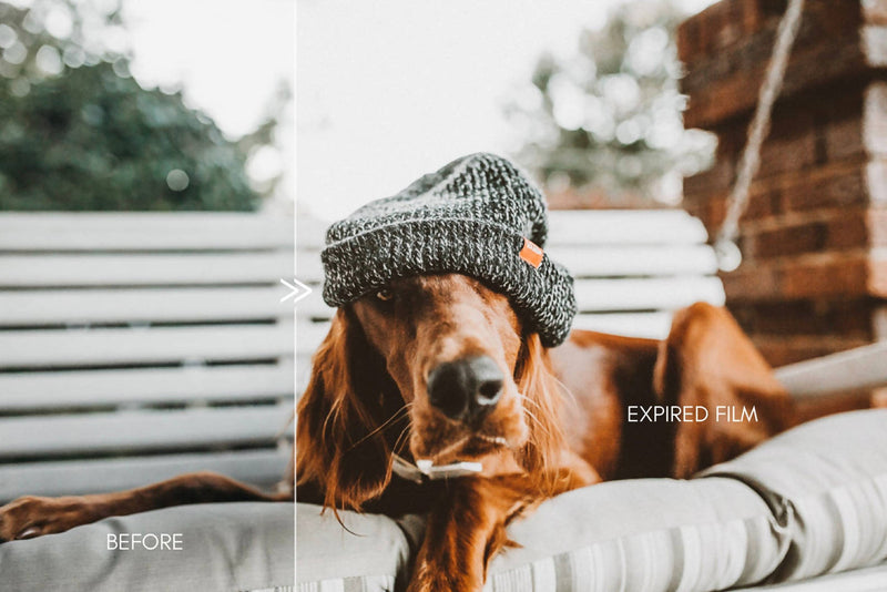 Analog Film Inspired Moody Lightroom Presets Pack for Desktop & Mobile