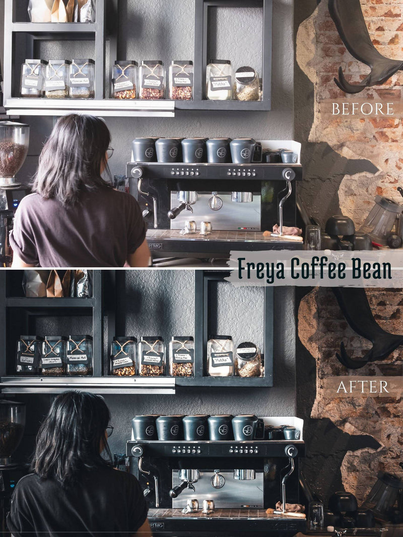 Norse Pack 4 Desktop Lightroom Presets | Mo0n Cake Lightroom Presets mo0n_cake 