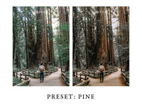 Warm and Moody Lightroom Presets Pack 2 for Desktop & Mobile