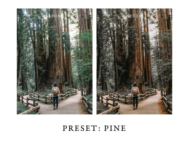 Warm and Moody Lightroom Presets Pack 2 for Desktop & Mobile
