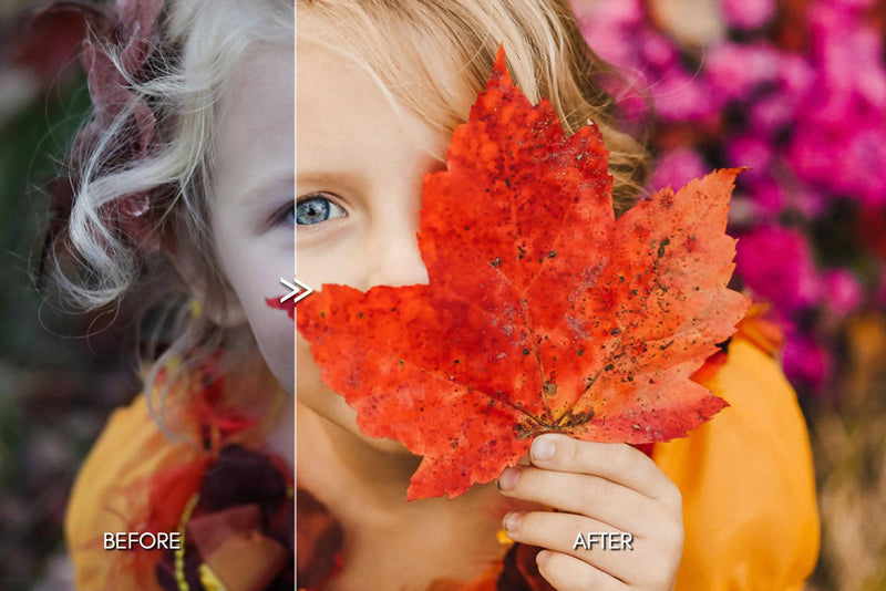 Bright Warm AUTUMN Lightroom Presets Pack for Desktop & Mobile - One Click Photo Editing