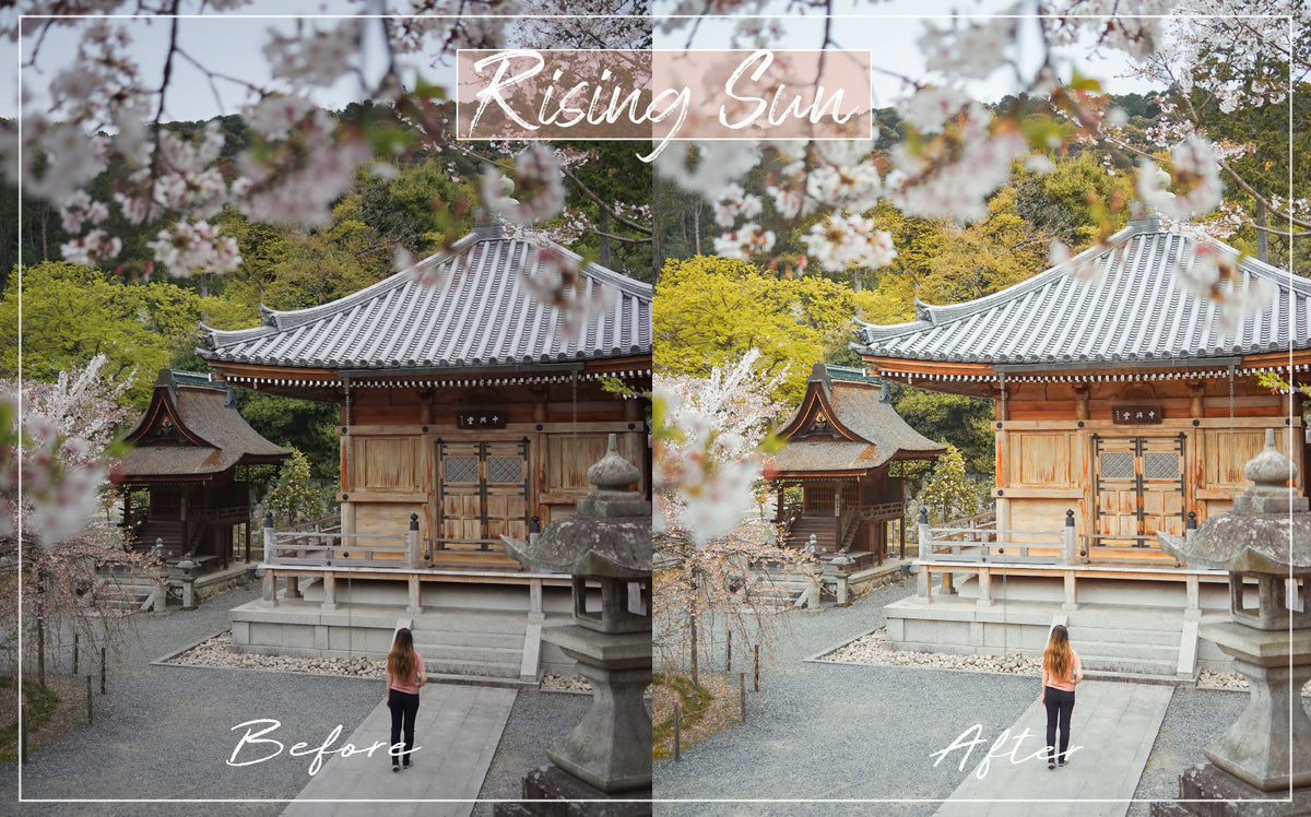 Kyoto Preset Pack