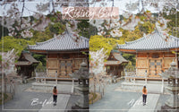 Kyoto Preset Pack