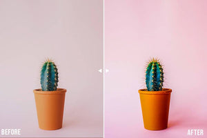 Product Photography Lightroom Presets by Presetsh Lightroom Presets Presetsh 