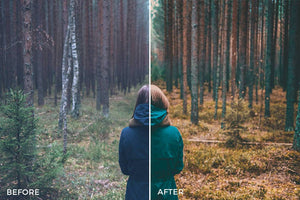 Cinematic Lightroom Presets by Presetsh Lightroom Presets Presetsh 