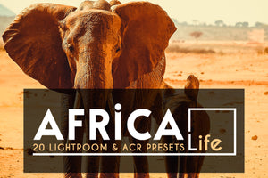 2000+ Mega Mix Lightroom Presets & Camera Raw