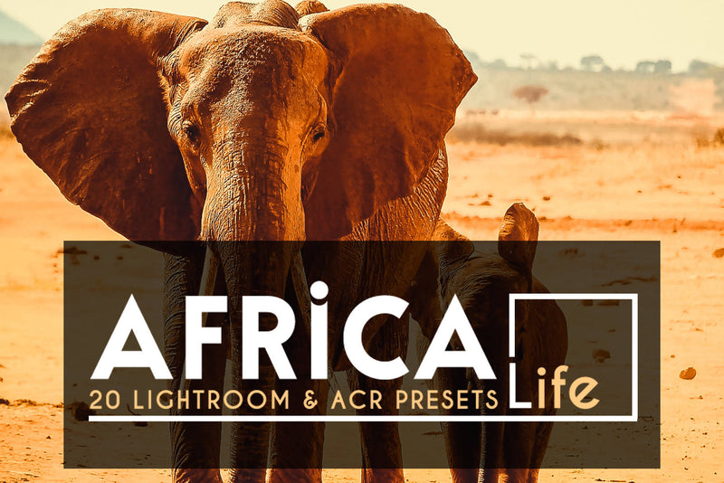 2000+ Mega Mix Lightroom Presets & Camera Raw