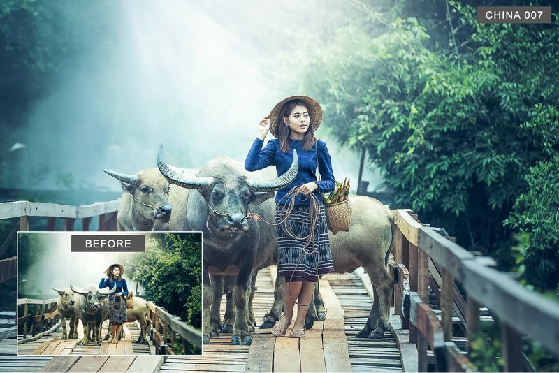 2000+ Mega Mix Lightroom Presets & Camera Raw