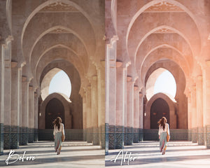 10 Lightroom Presets for Mobile & Desktop, Pink Presets