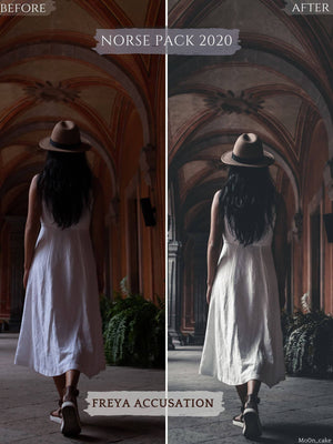 Norse Pack 11 Desktop Lightroom Presets | Mo0n Cake Lightroom Presets mo0n_cake 