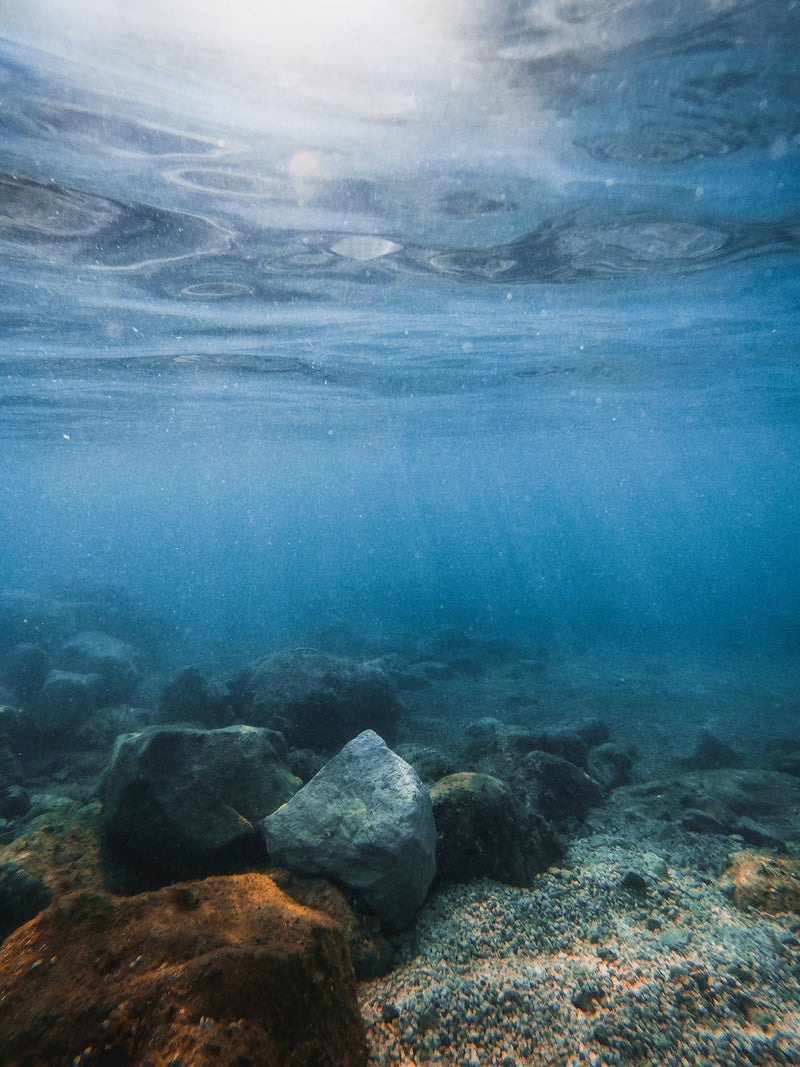 The Ocean Collection