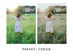 Warm and Moody Lightroom Presets Pack 2 for Desktop & Mobile