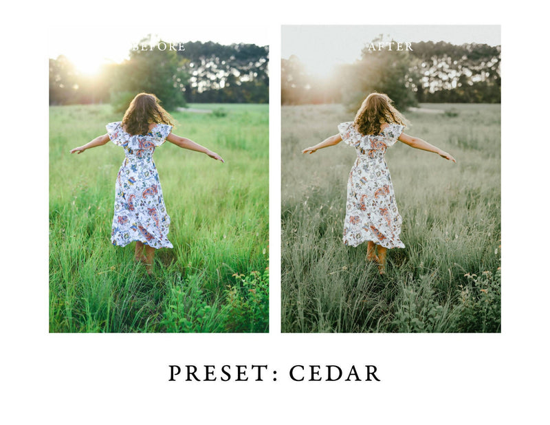 Warm and Moody Lightroom Presets Pack 2 for Desktop & Mobile