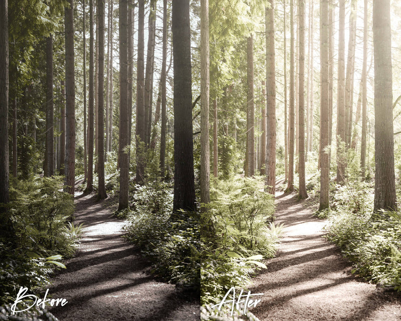 10 Lightroom Presets for Mobile & Desktop, Natural Presets