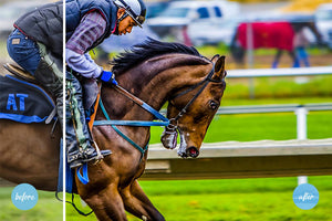 2000+ Mega Mix Lightroom Presets & Camera Raw