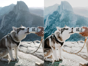 Moody Vibrant ADVENTURE AWAITS Lightroom Presets Pack for Desktop & Mobile