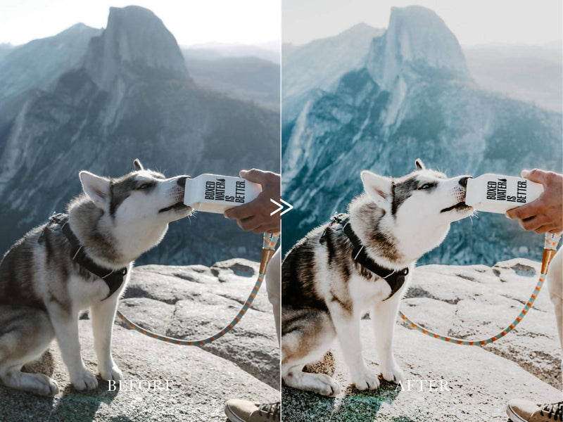 Moody Vibrant ADVENTURE AWAITS Lightroom Presets Pack for Desktop & Mobile