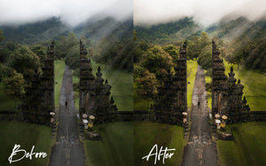 Bali Preset Pack