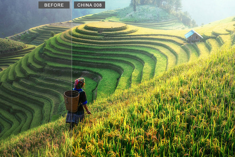 2000+ Mega Mix Lightroom Presets & Camera Raw