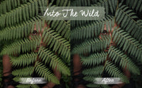 Tropical Preset Pack