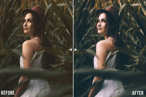 Moody Lightroom Presets Lightroom Presets Presetsh 