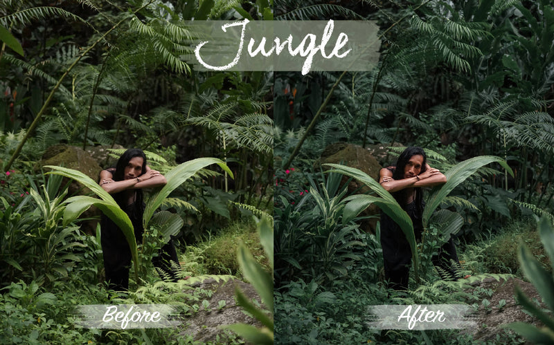 Tropical Preset Pack