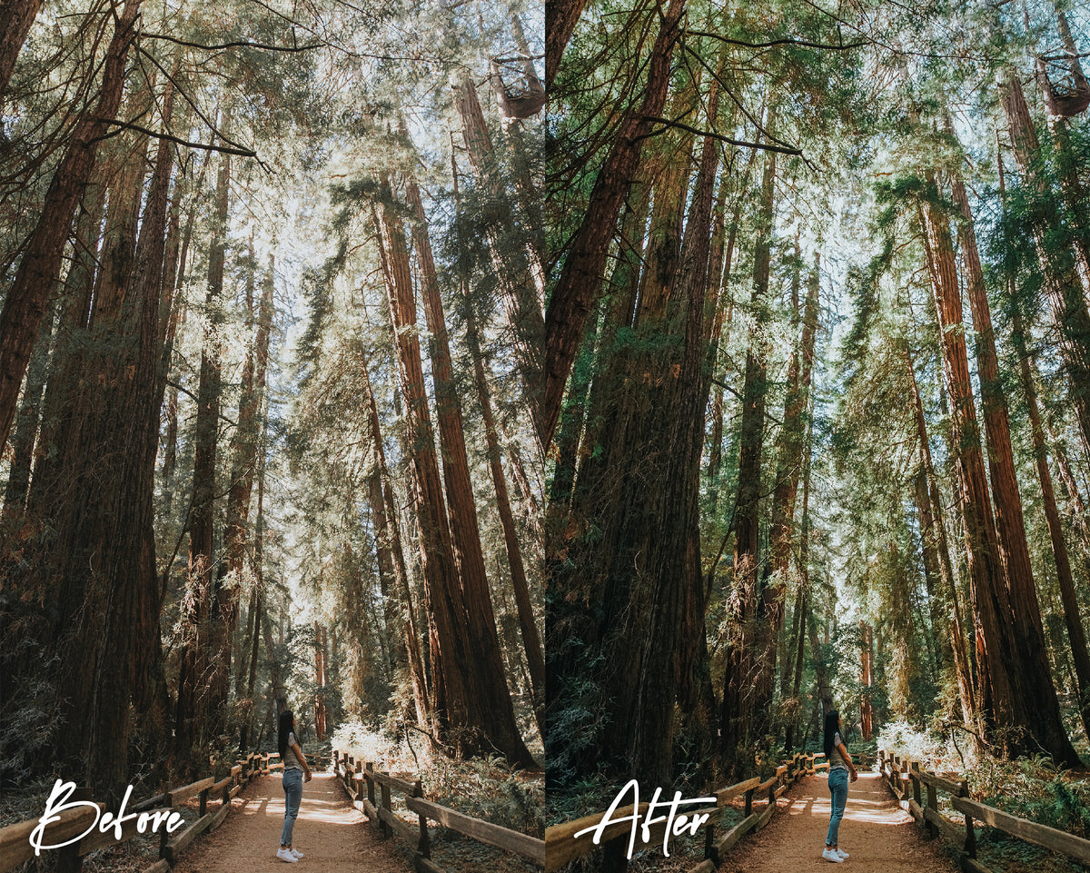 8 Lightroom Presets for Mobile & Desktop - Woods Presets