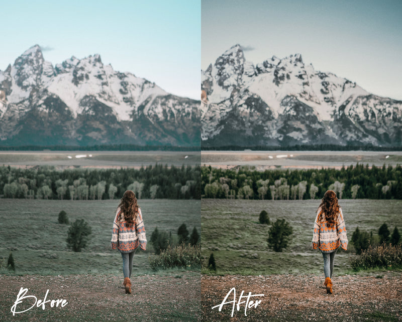 8 Lightroom Presets for Mobile & Desktop - Woods Presets