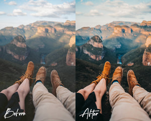 8 Lightroom Presets for Mobile & Desktop - Woods Presets