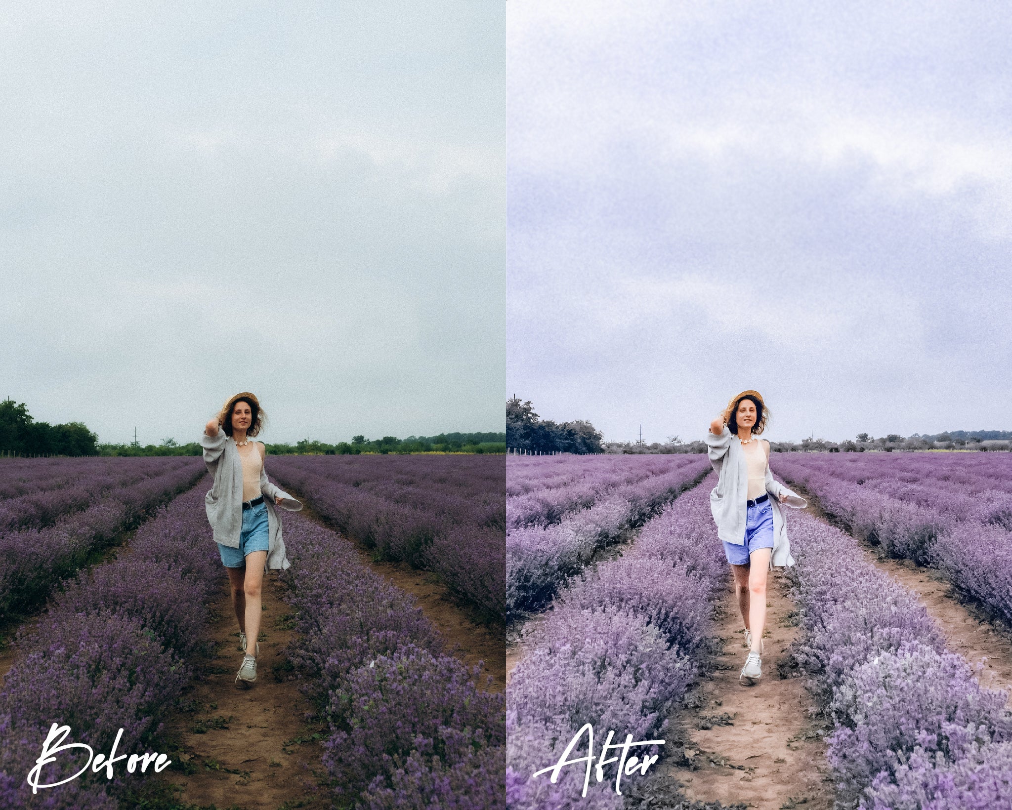 8 Lightroom Presets for Mobile & Desktop, Lavender Presets, Autumn Presets, Lilac Mobile Presets, Violet Instagram Presets, Blogger Presets