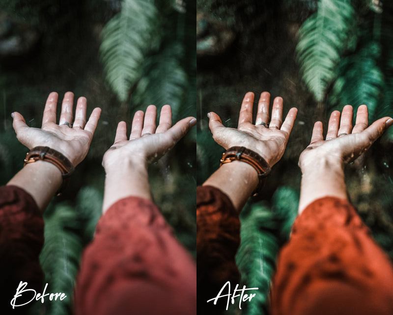 8 Lightroom Presets for Mobile & Desktop - Woods Presets