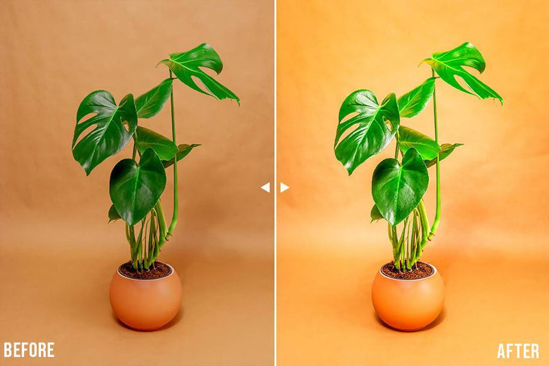 Product Photography Lightroom Presets by Presetsh Lightroom Presets Presetsh 