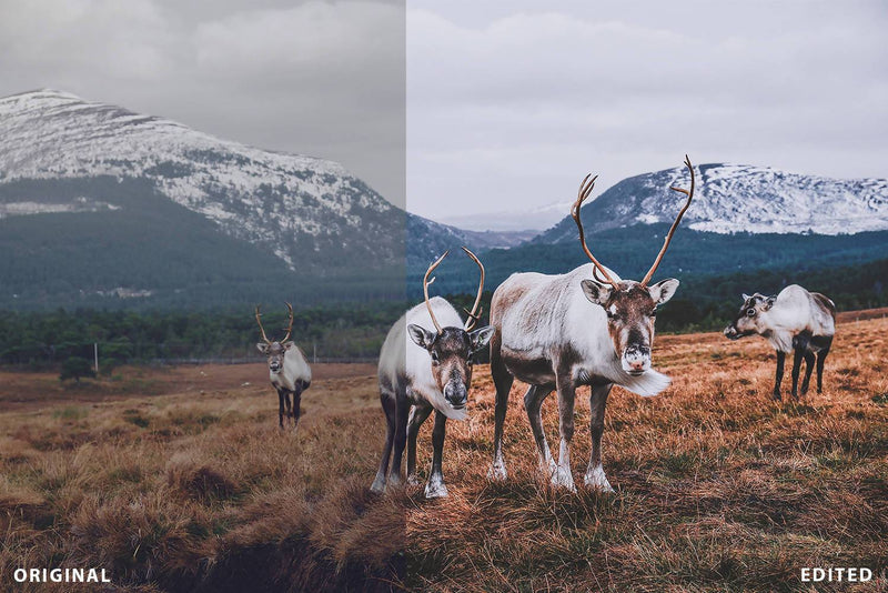 Travel & Landscape Lightroom Presets Lightroom Presets Presetsh 