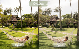 Tropical Preset Pack