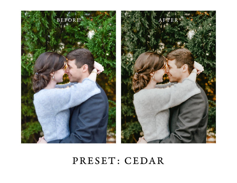 Warm and Moody Lightroom Presets Pack 2 for Desktop & Mobile
