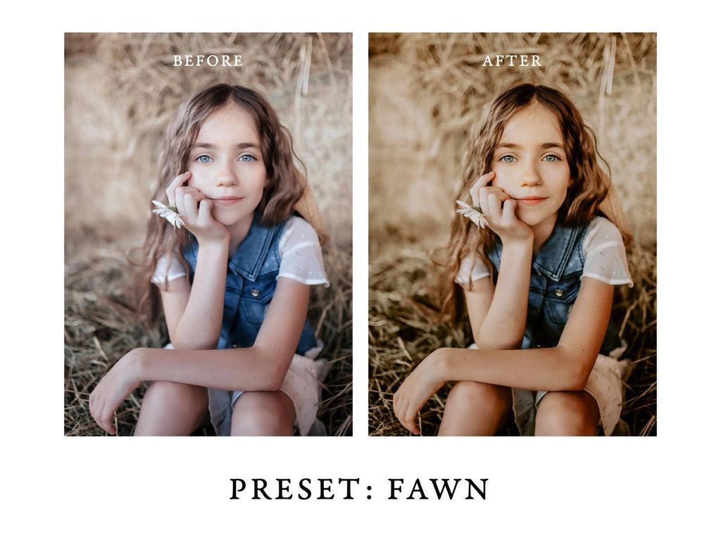 Warm and Moody Lightroom Presets Pack 2 for Desktop & Mobile