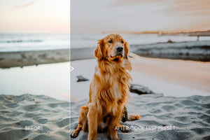 Moody Pet Photography Kit THE GREAT OUTDOORS Lightroom Presets Pack for Desktop and Mobile - One Click Editing Tools