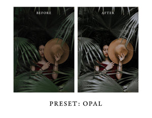 Dark and Moody Lightroom Presets Pack 3 for Desktop & Mobile